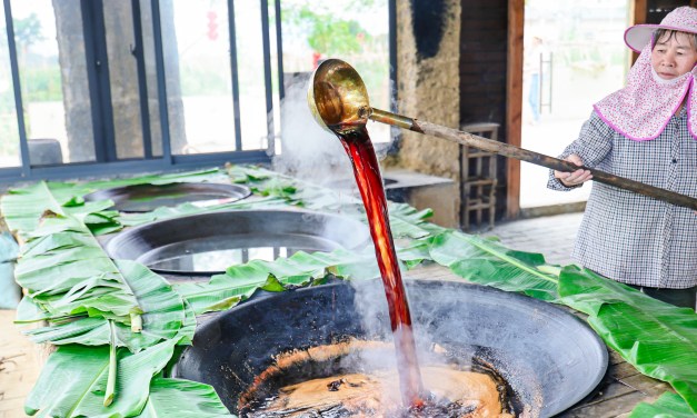 Bridging the Digital Divide: 5G Drives Rural Revitalization in Guangxi, China