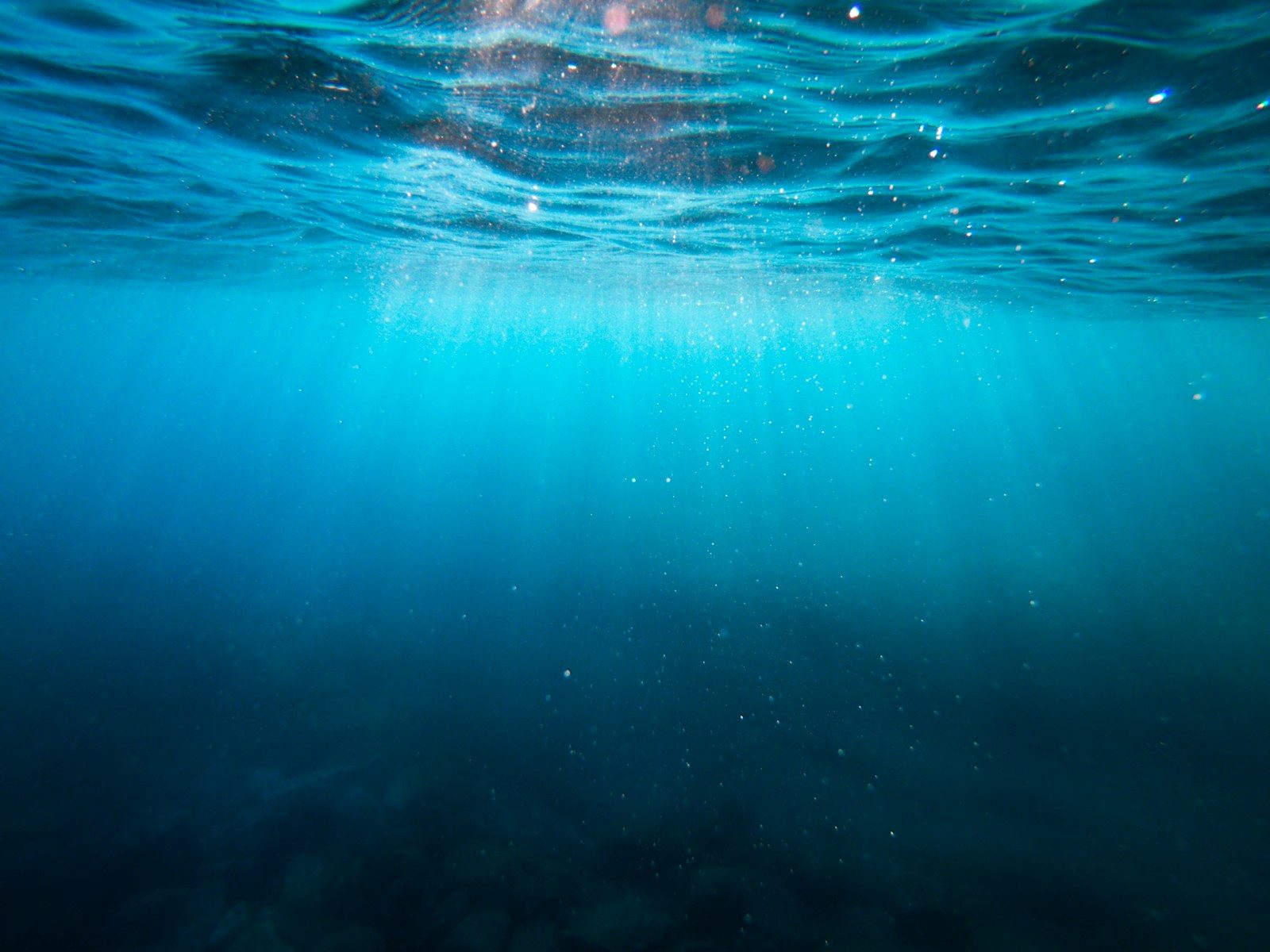 Via Africa: Consortium announces new subsea cable project