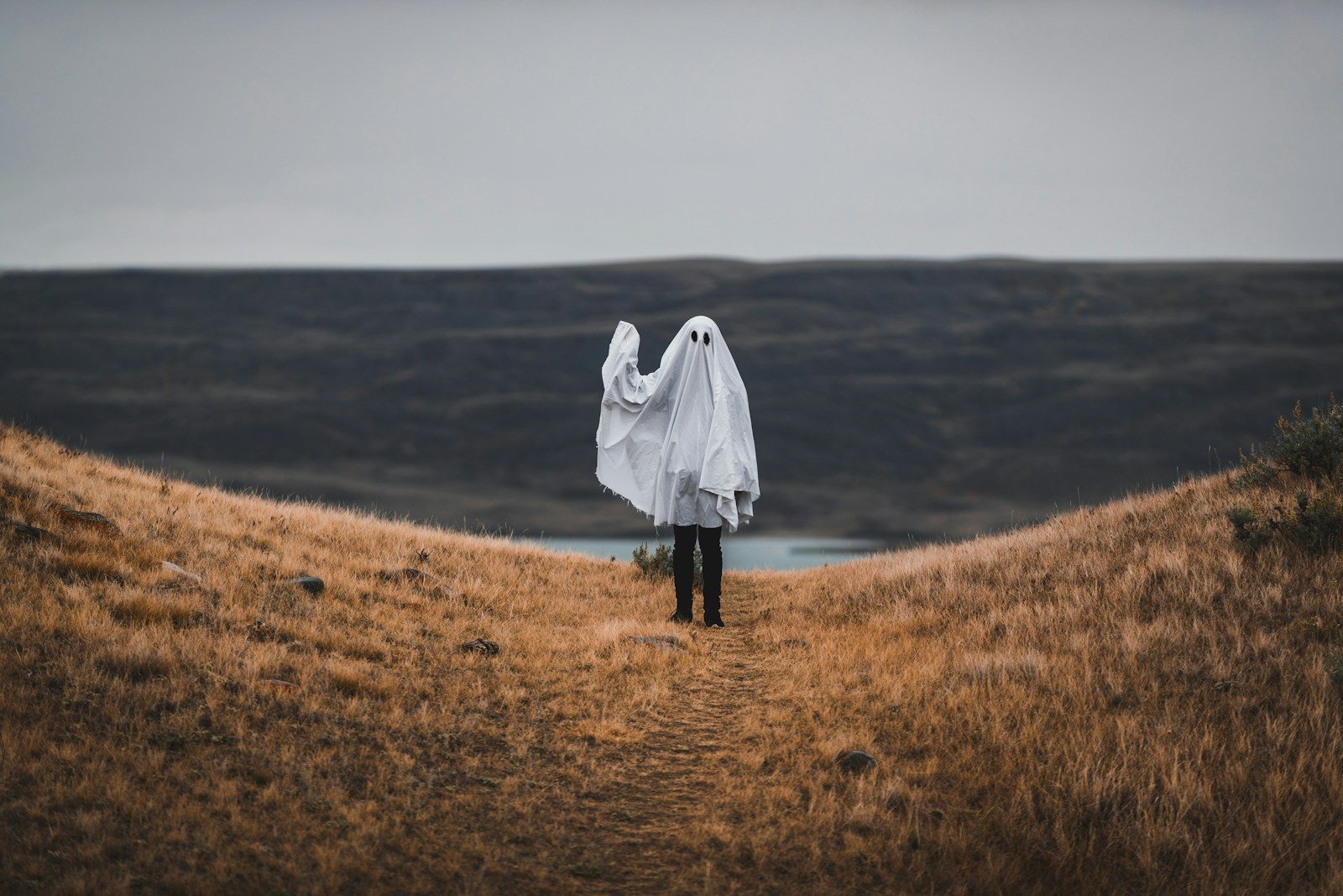 ‘Ghost investor’ in True Corp could expose weaknesses within Thailand’s SEC ‘Ghost investor’ in True Corp could expose weaknesses within Thailand’s SEC