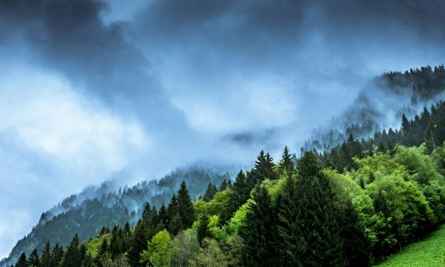 Virgin Media O2 cuts 5,200 tonnes of carbon dioxide emissions