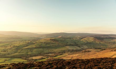 Shared Rural Network rollout extends to UK national parks with over 150 4G masts live
