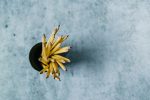 Sharpened yellow pencils in a dark cup on a textured grey surface
