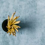 Sharpened yellow pencils in a dark cup on a textured grey surface